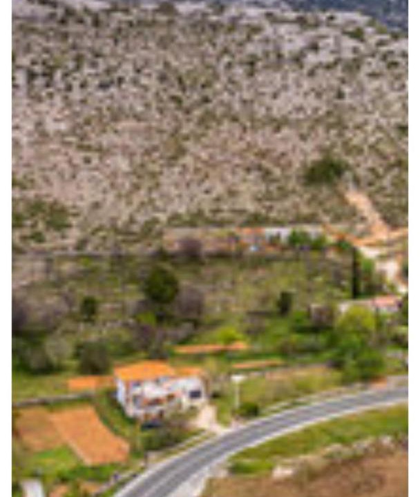 Photo of Others in Seline