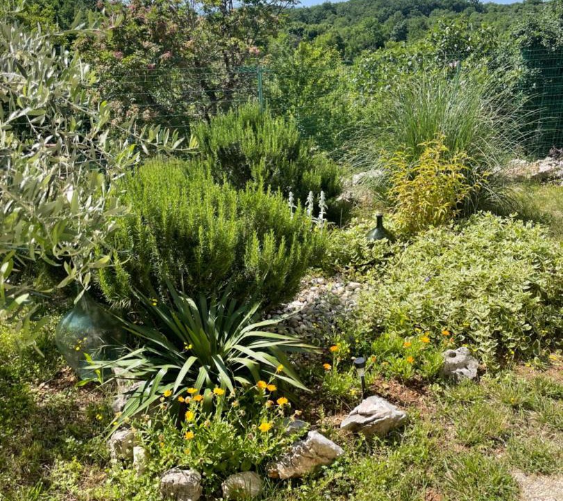 Photo of Others in Cres