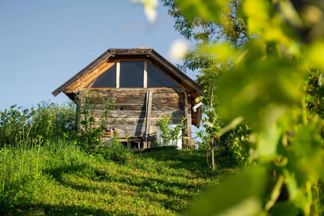 Photo of Others in Ljubescica