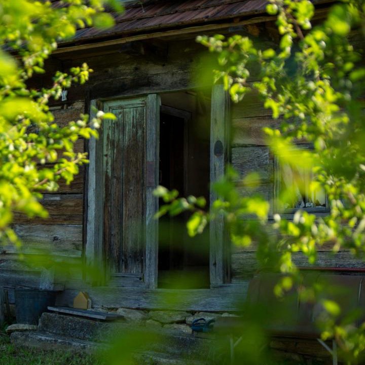 Photo of Others in Ljubescica