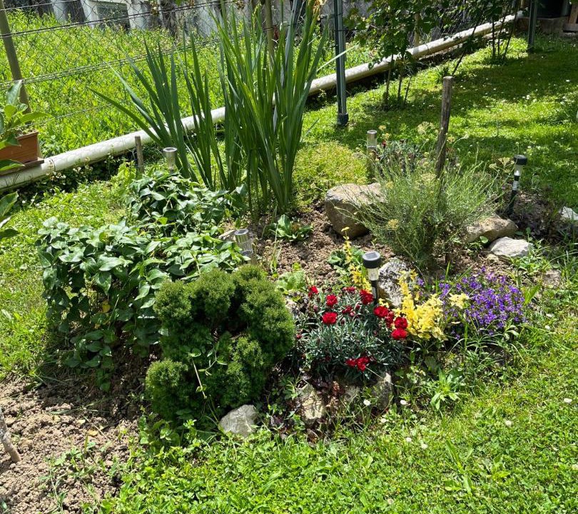 Photo of Outdoor in Velika Gorica
