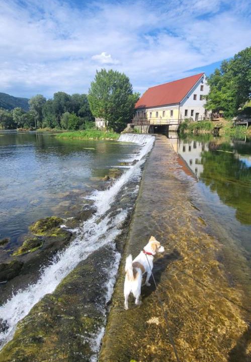 Photo of Others in Straza