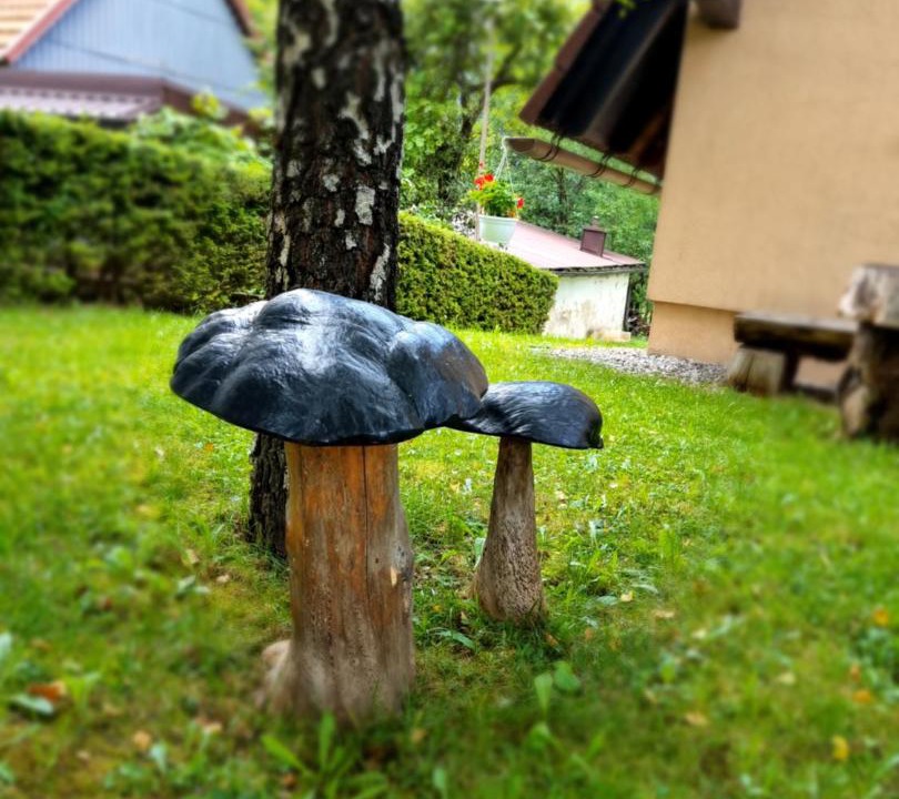 Photo of Others in Kupjak