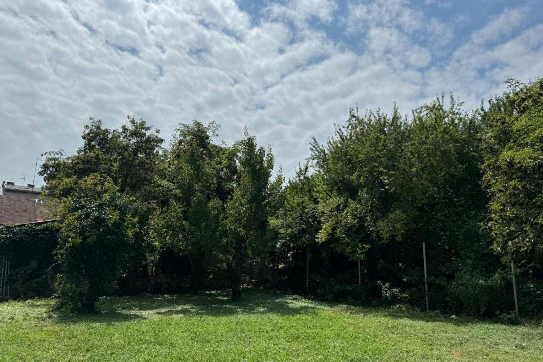 Photo of Outdoor in Osijek