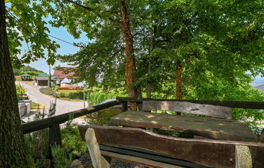 Photo of Others in Ivanec