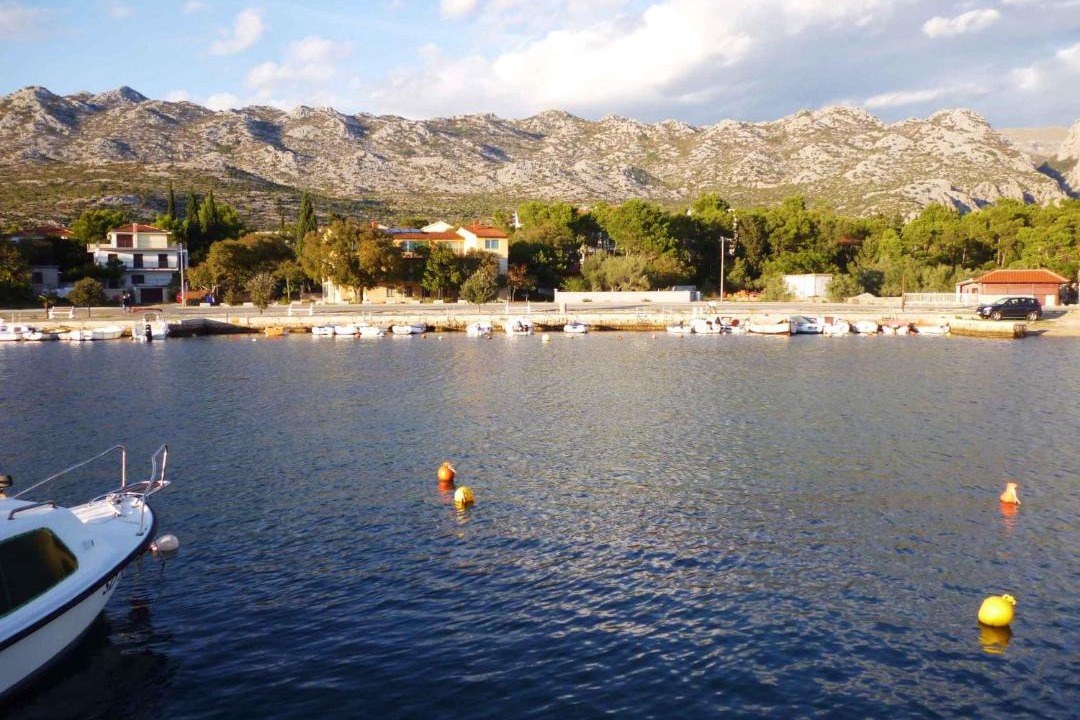 Photo of Others in Seline