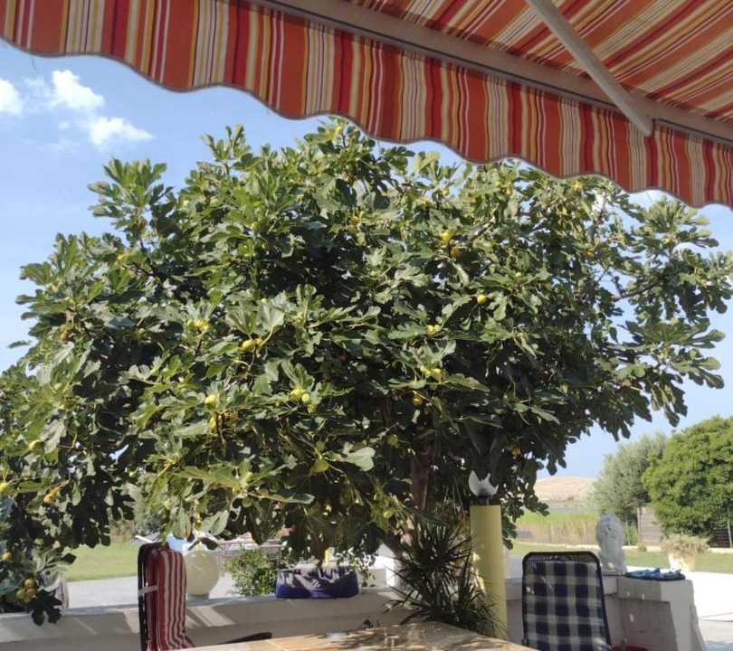 Photo of Outdoor in Dinjiska