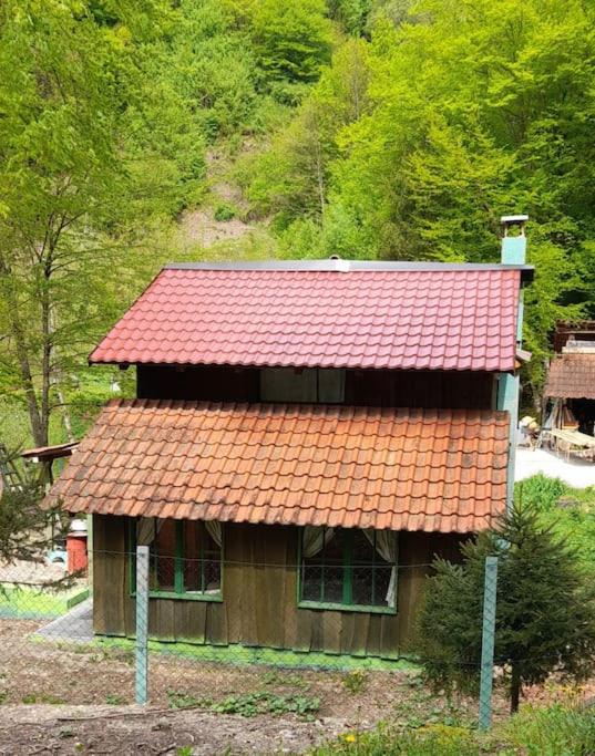 Photo of Others in Samobor