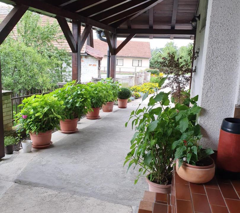 Photo of Others in Slunj