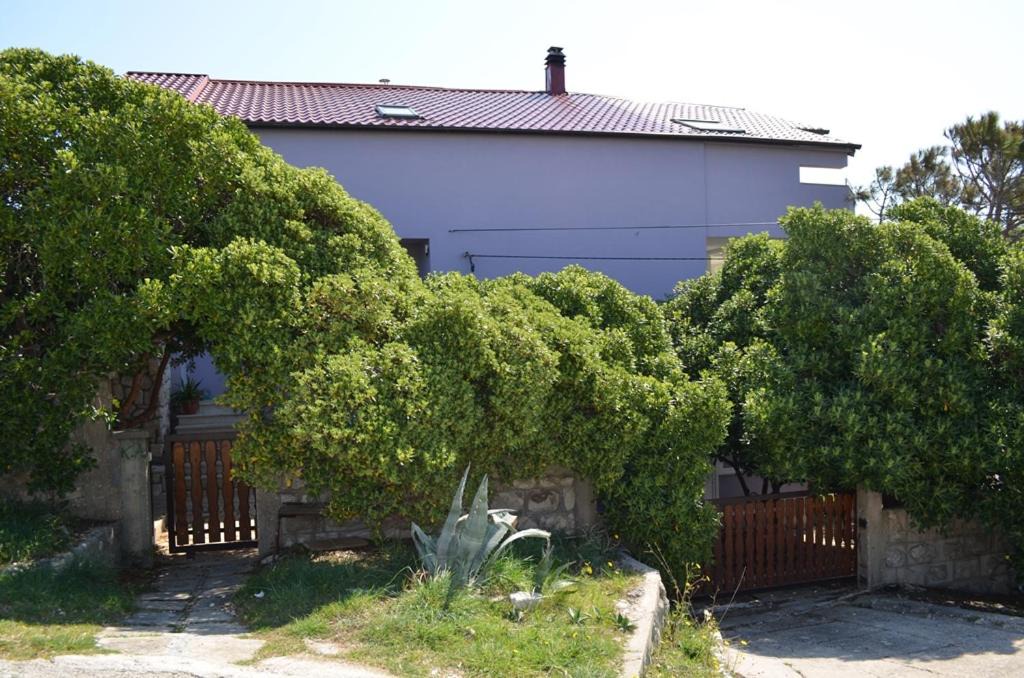 Photo of Others in Smokvica