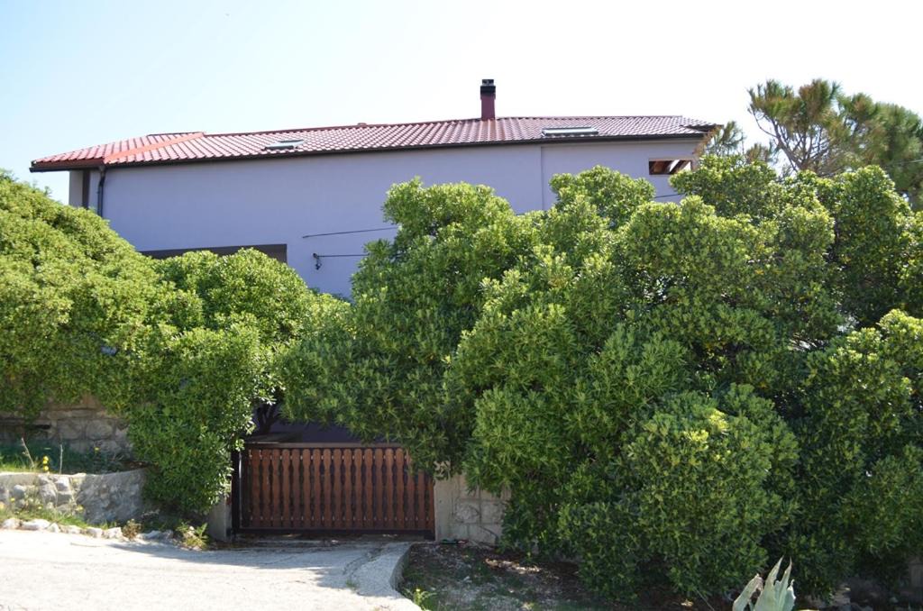 Photo of Others in Smokvica