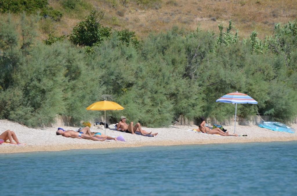 Photo of Others in Smokvica