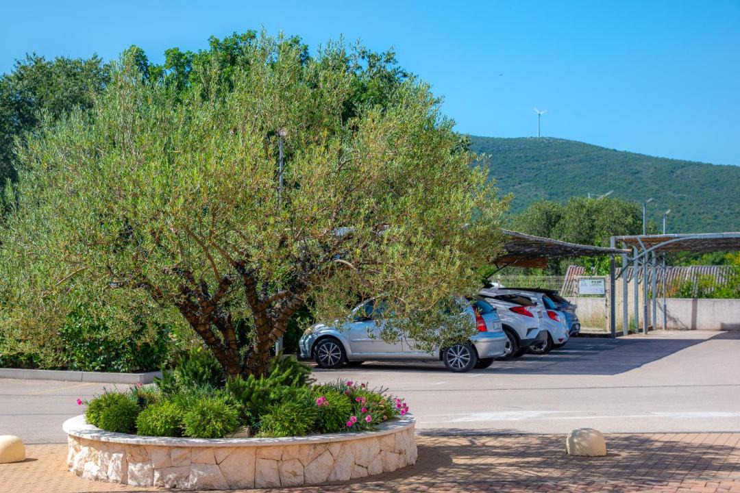Photo of Outdoor in Lozovac