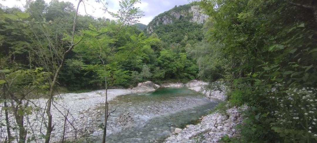 Photo of Others in Kobarid