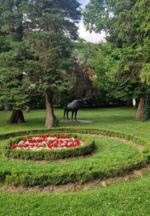 Photo of Others in Krapina