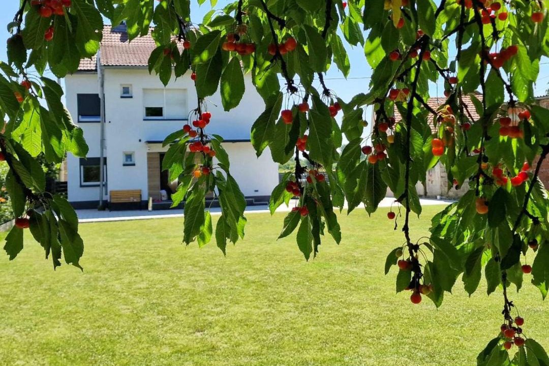 Photo of Others in Cakovec