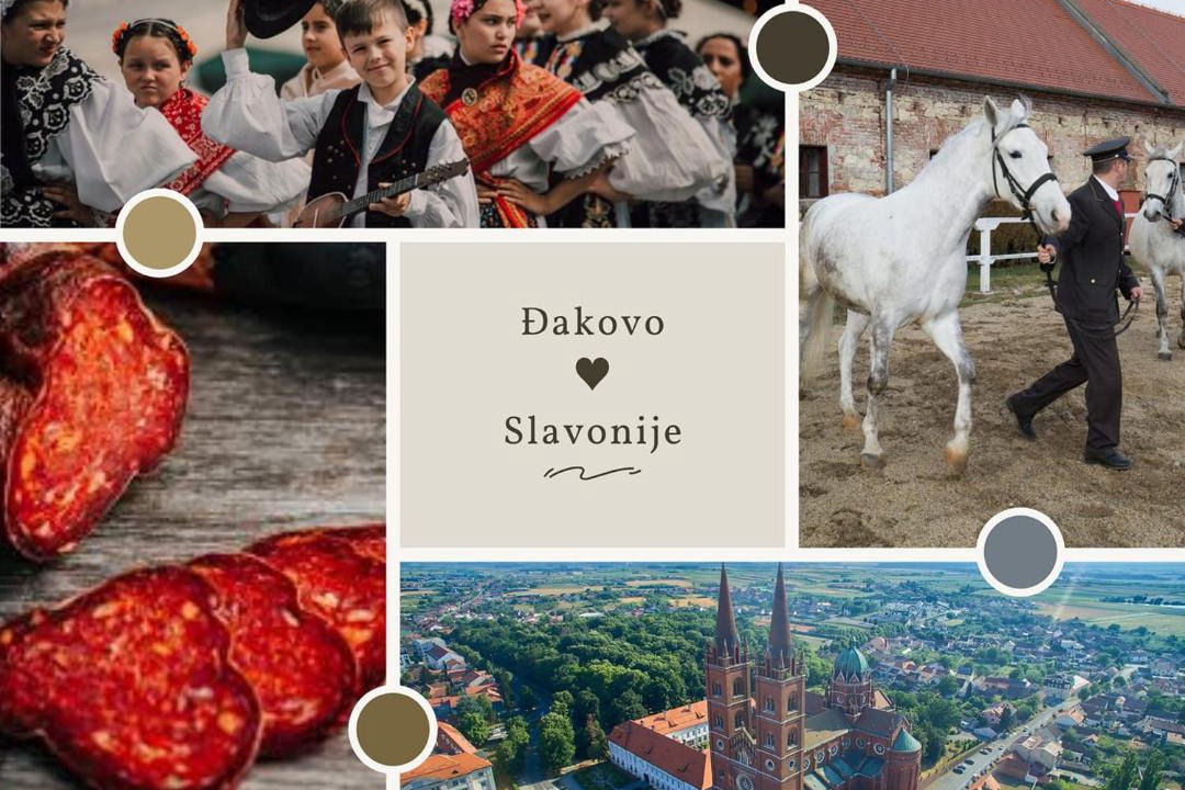 Photo of Others in Dakovo