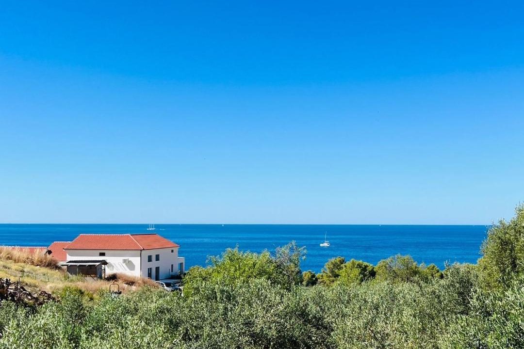 Photo of Others in Hvar