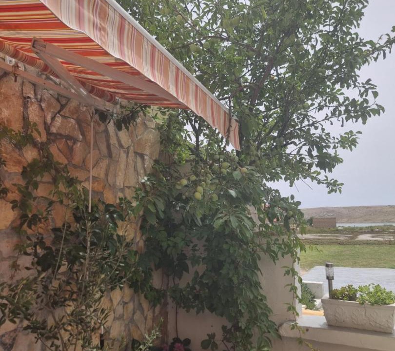 Photo of Others in Dinjiska