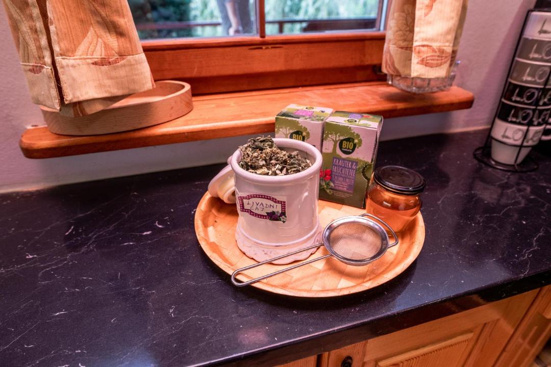 Photo of Kitchen in Donji Koncovcak