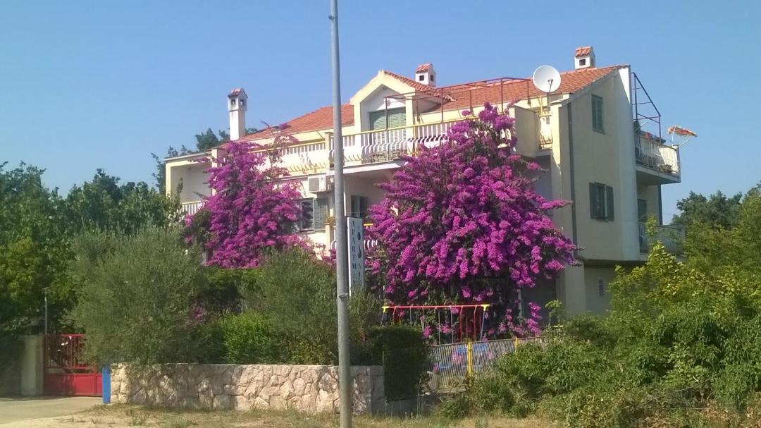 Photo of Others in Drage
