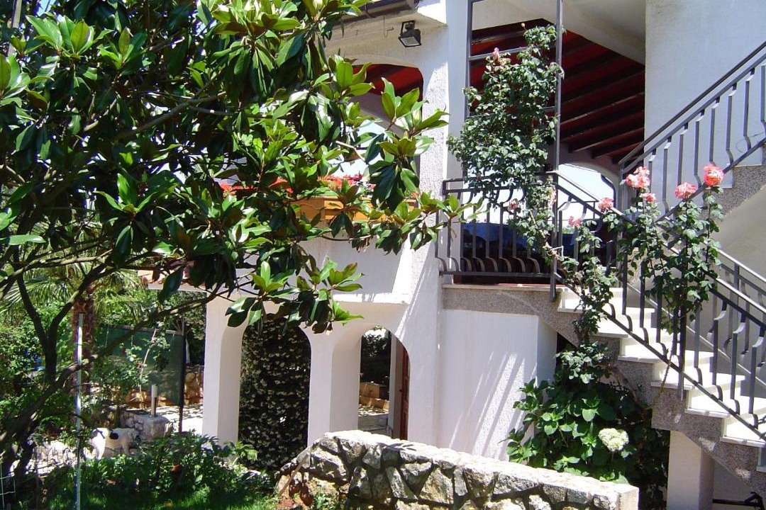 Photo of Others in Finida