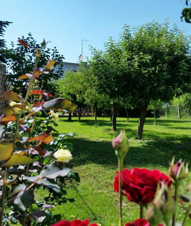 Photo of Others in Koprivnica