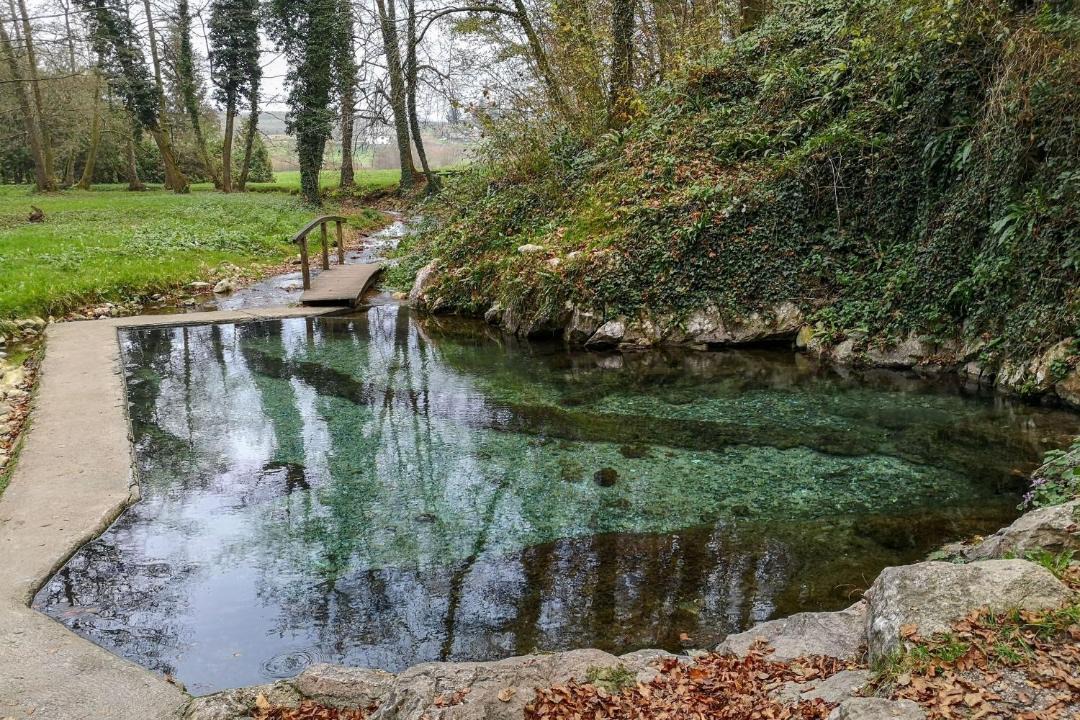 Photo of Others in Trebnje