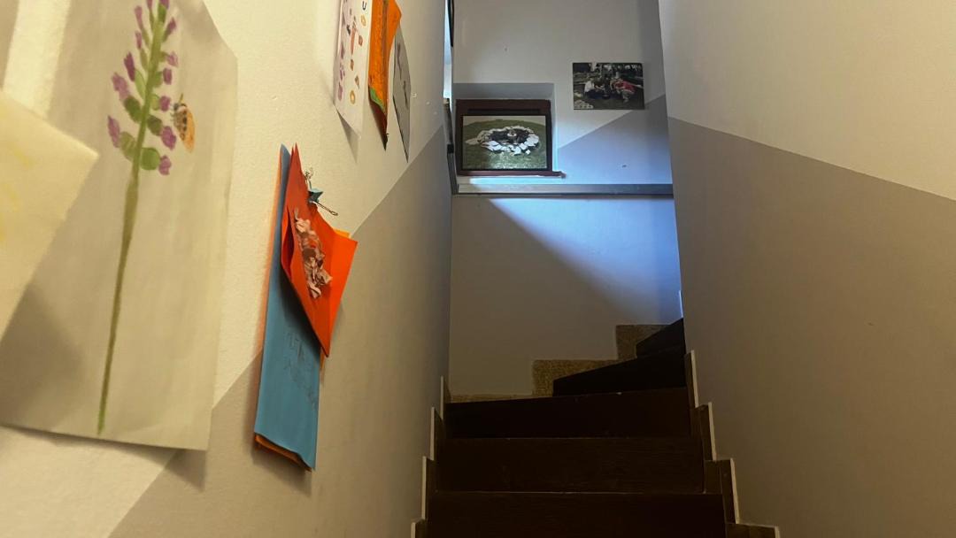 Photo of Others in Breznik Plesivicki