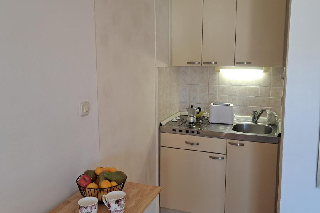 Photo of Kitchen in Milcetici