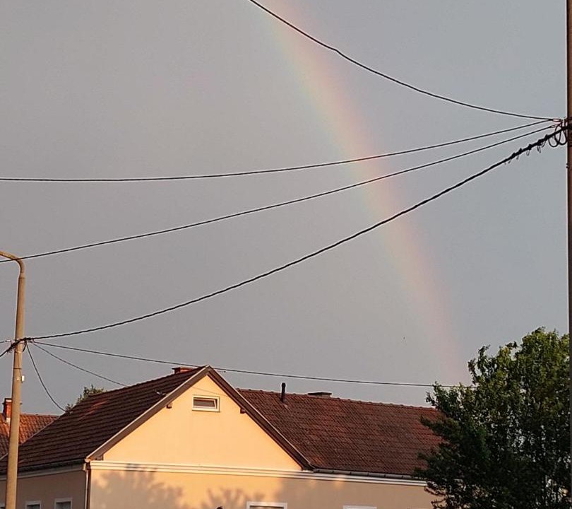 Photo of Others in Vukovar