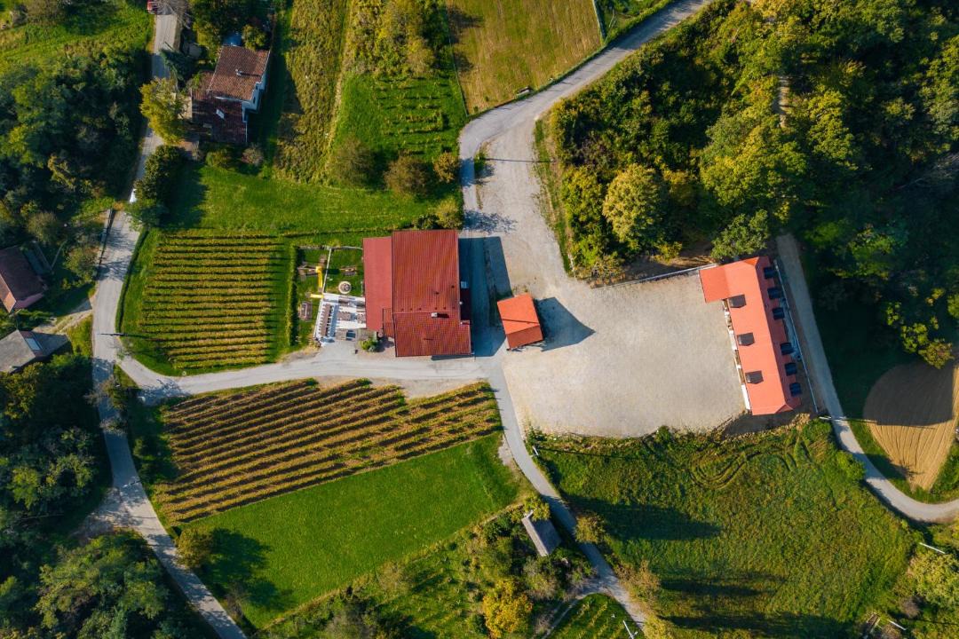 Photo of Others in Kraljevec Sesvetski