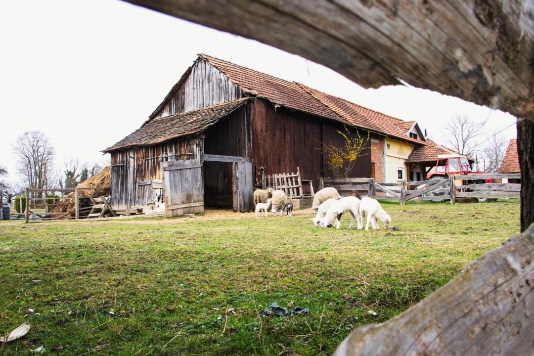 Photo of Others in Molve