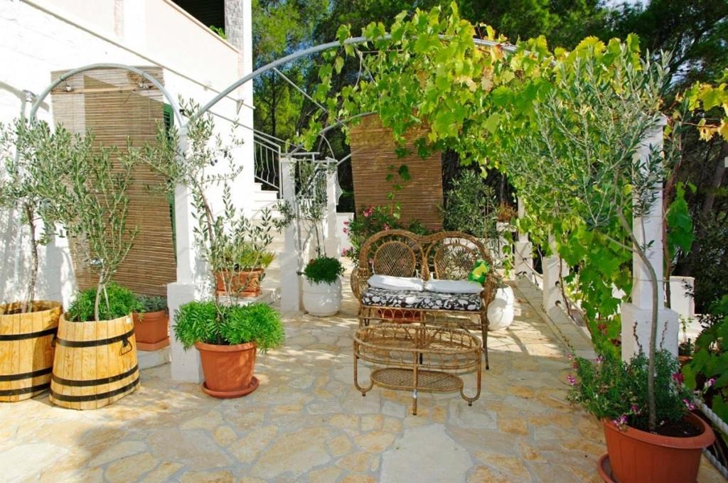 Photo of Others in Vela Luka