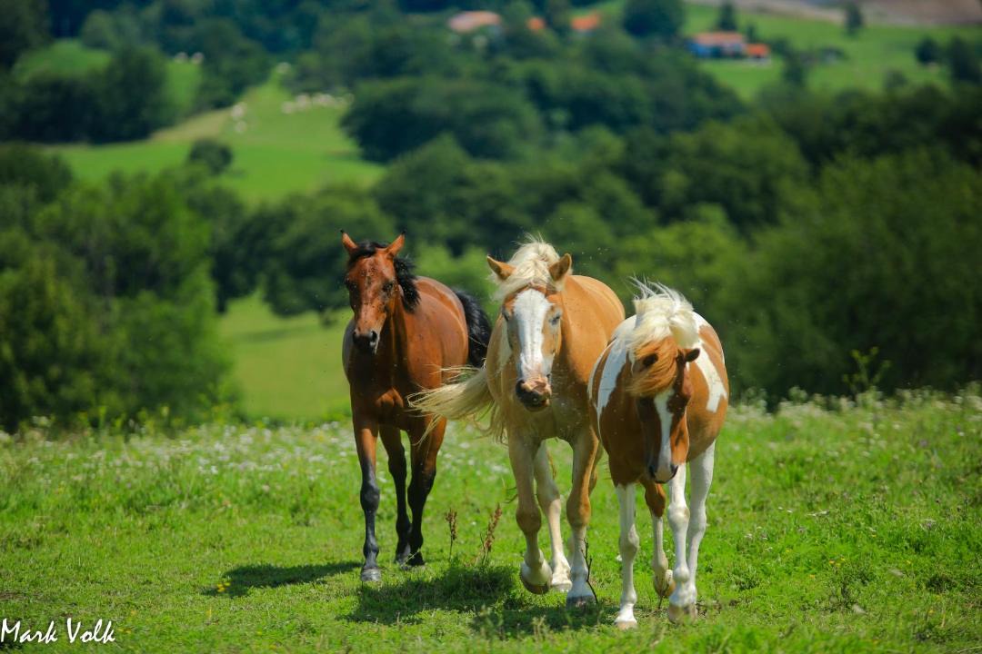 Photo of Others in Kambresko