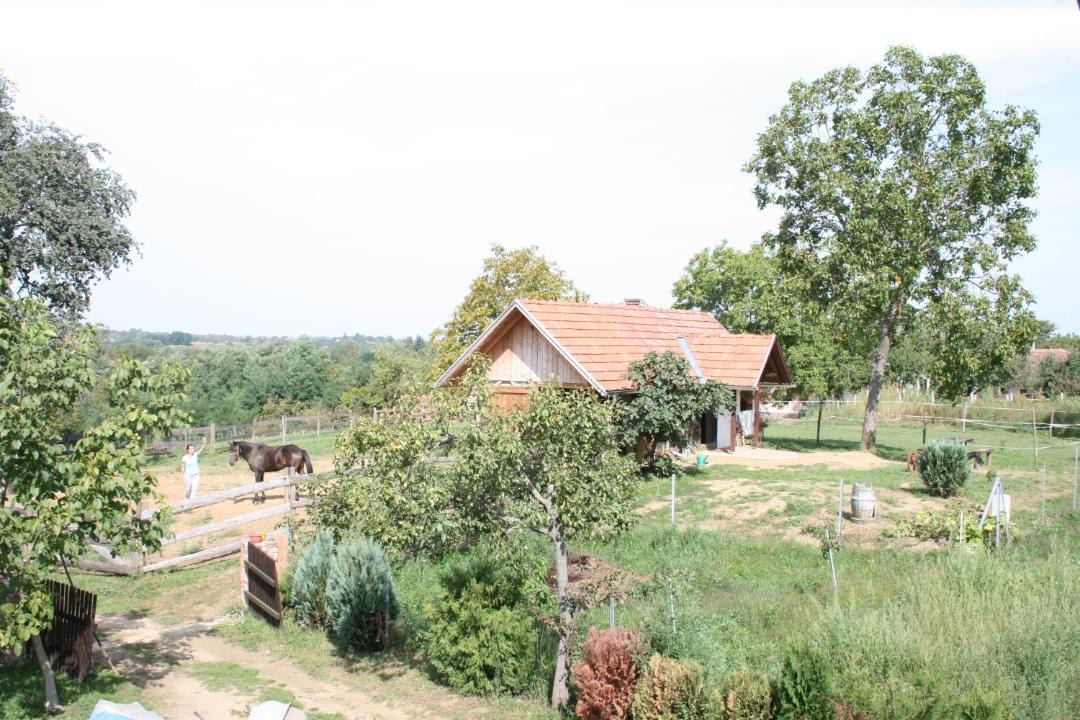 Photo of Others in Durdevac