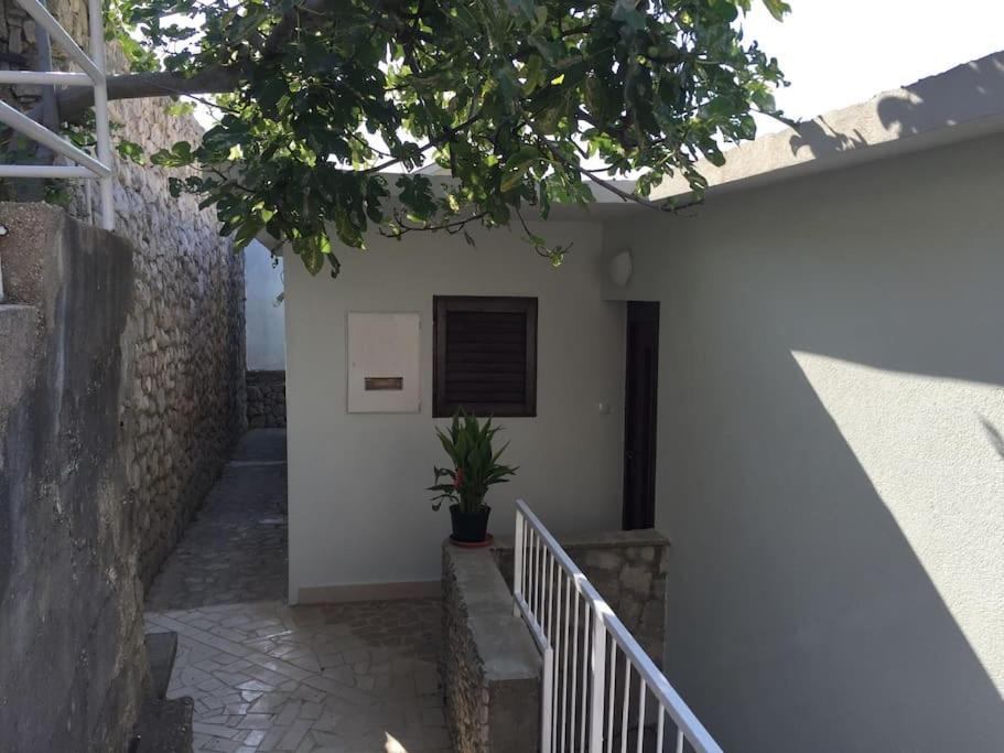 Photo of Others in Trpanj