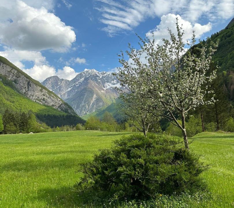 Photo of Others in Bovec