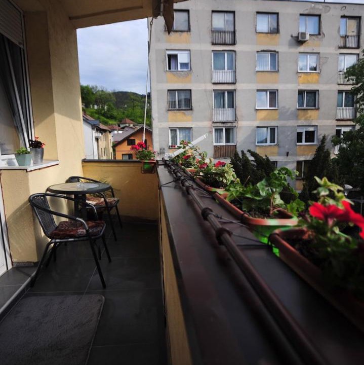 Photo of Others in Visegrad