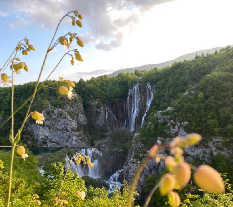 Photo of Others in Seliste