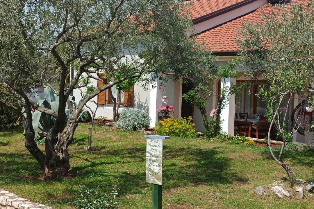 Photo of Others in Cepljani