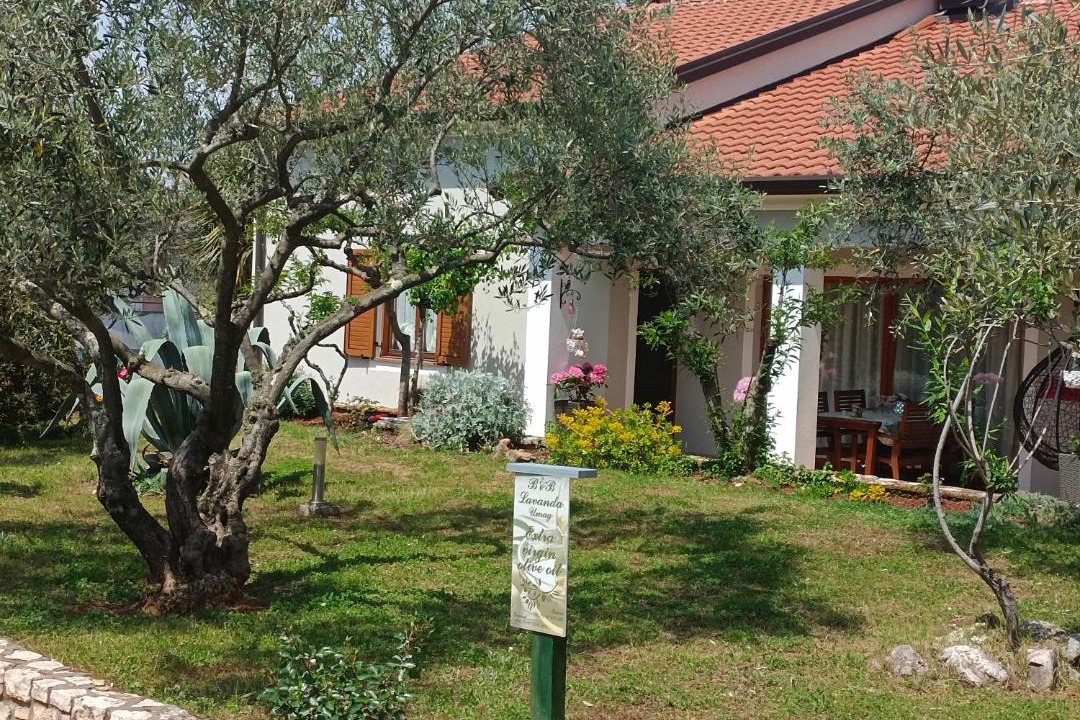 Photo of Others in Cepljani