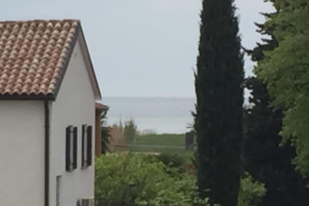Photo of Buildings in Karigador
