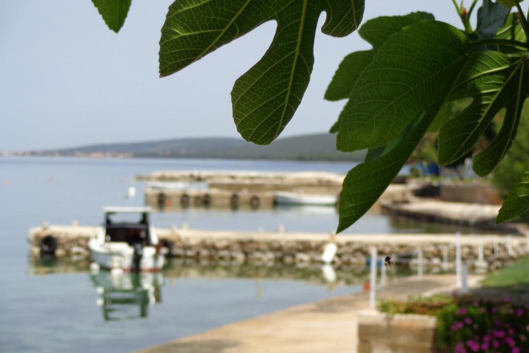 Photo of Others in Sveti Petar