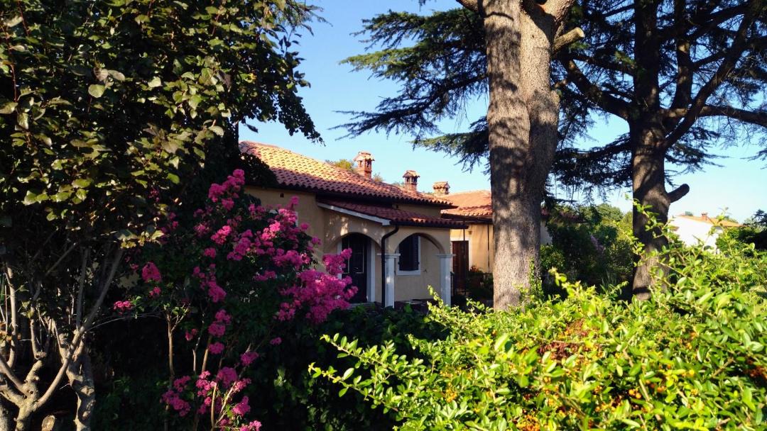 Photo of Buildings in Marceljani