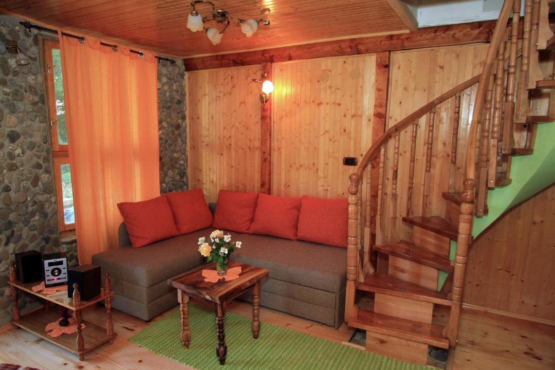 Photo of Livingroom in Brod na Kupi