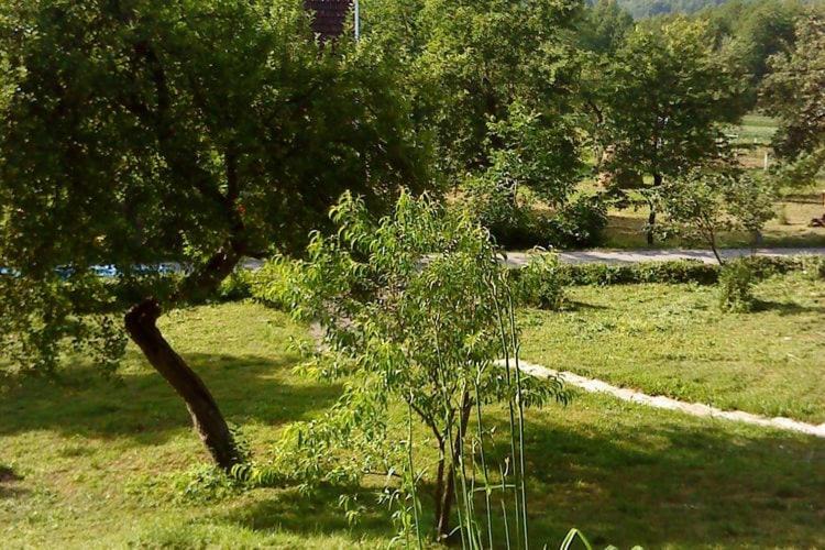 Photo of Outdoor in Brod na Kupi