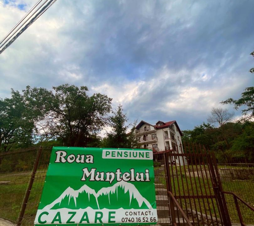 Photo of Others in Merei