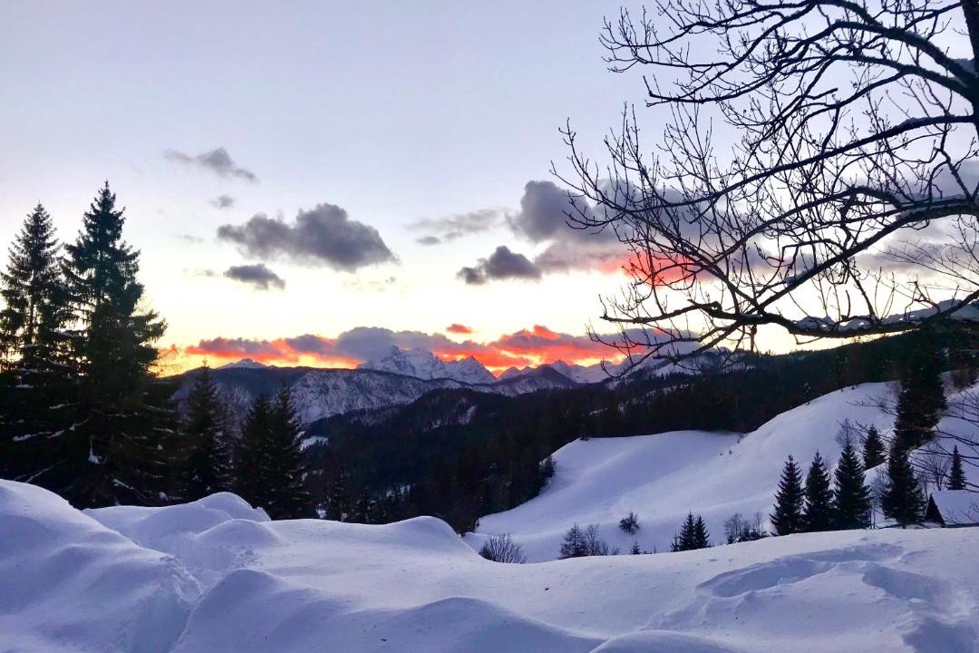 Photo of Others in Jesenice
