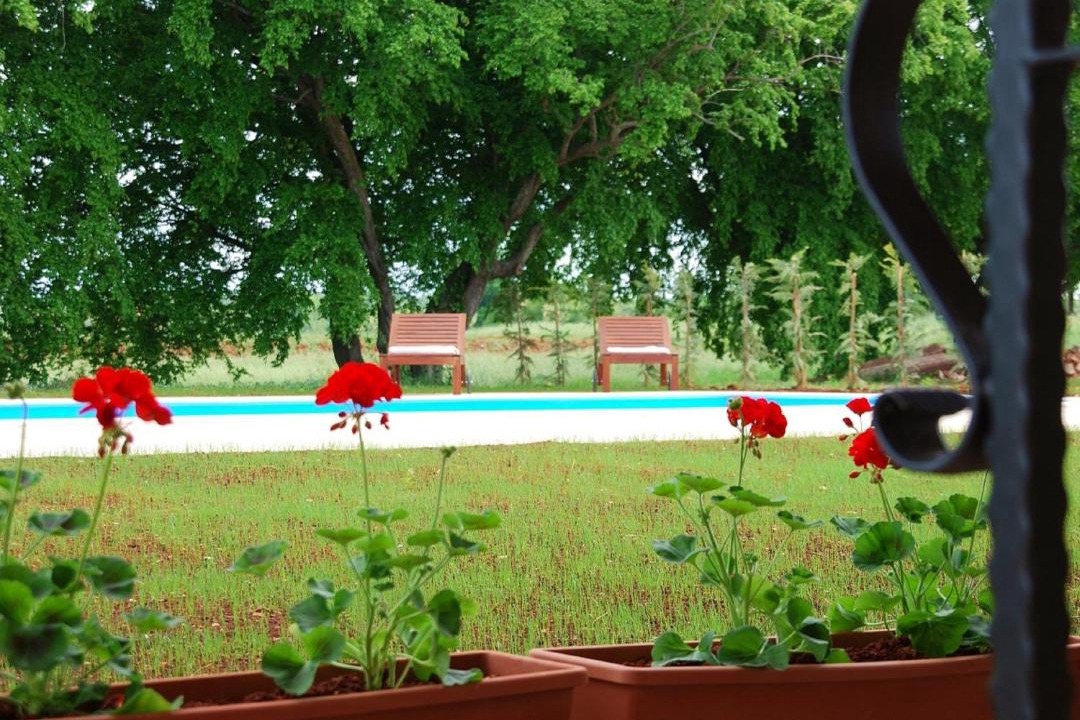 Photo of Others in Đuba